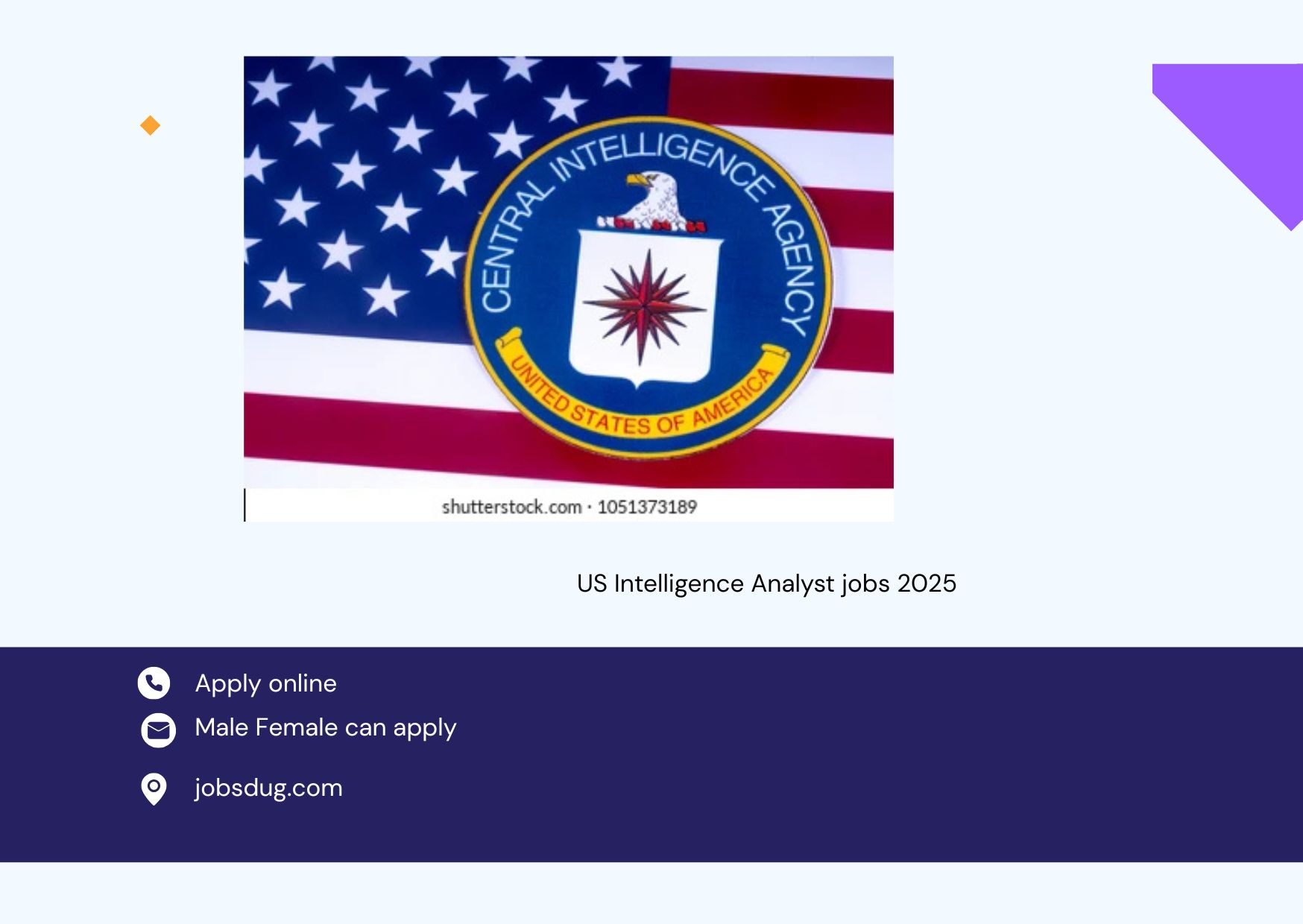 US Intelligence Analyst