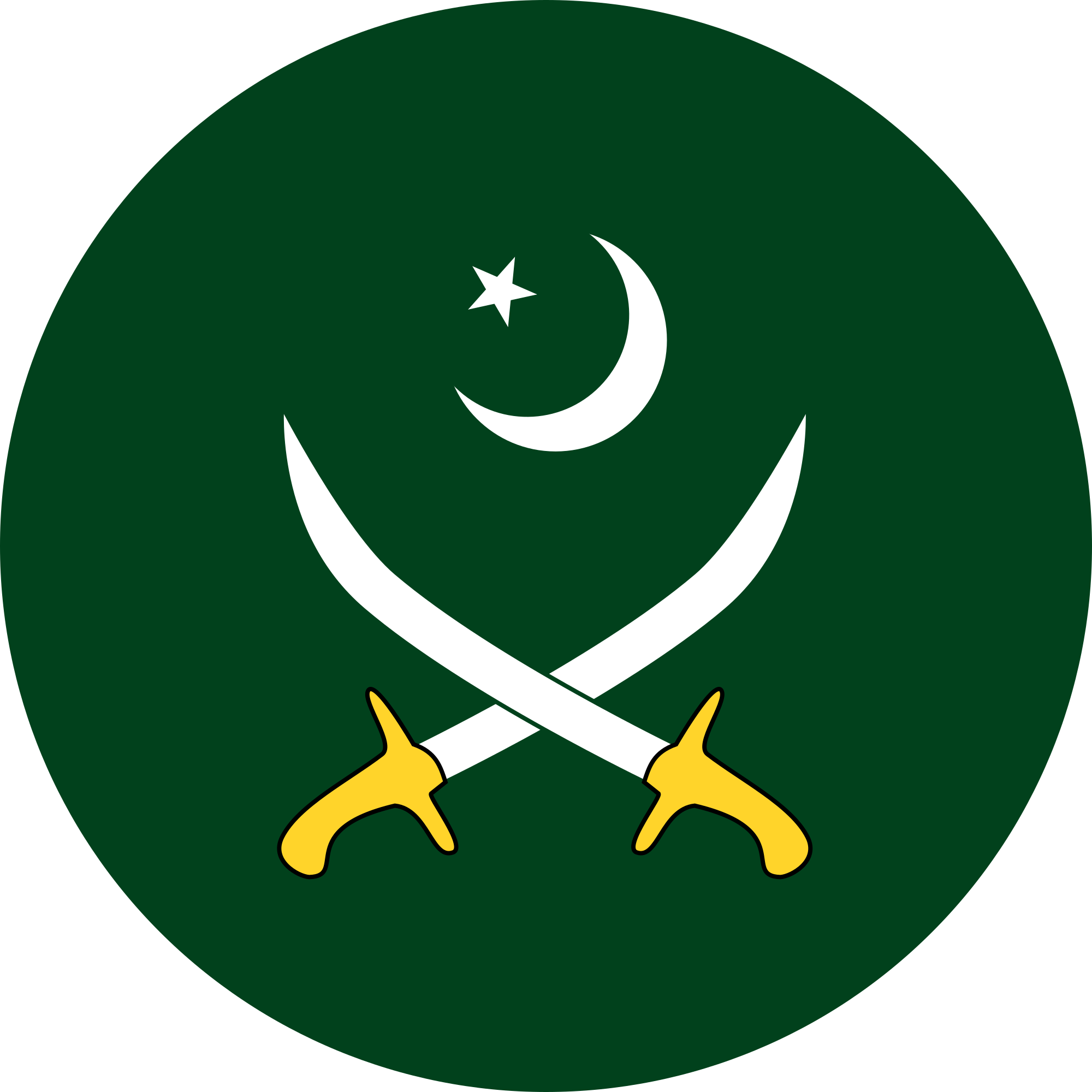 Pakistan Army Captain Jobs 2025